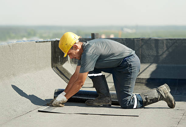 Best Geographic-Specific Insulation Services in Poseyville, IN